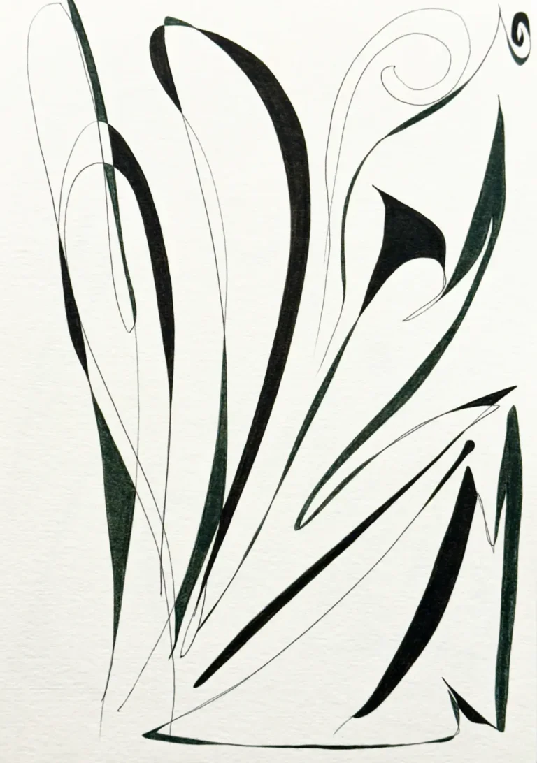 Black and dark grey, abstract line drawing